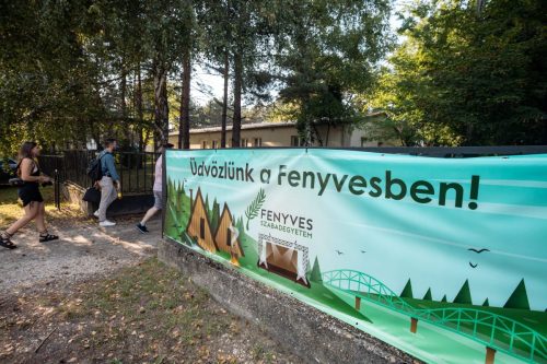 Fenyves-1.nap (15)